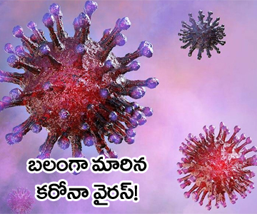 coronavirus has mutated and appears to be more contagious now