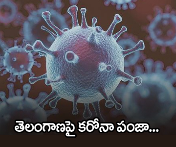 coronavirus positive cases in telangana
