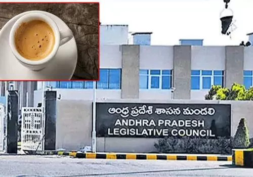 ycp mlc demand discussion on coffee quality in council