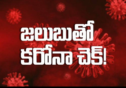 cold virus rejects corona virus