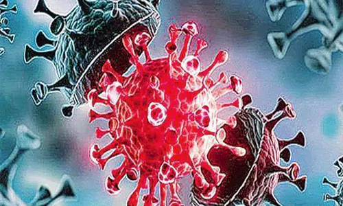 covid new variant danger bells in india pm modi hi level meeting