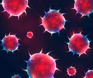 CoronaVirus Cases in Andhra Pradesh