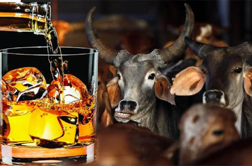 Yogi Adityanath govt to impose additional cess on liquor