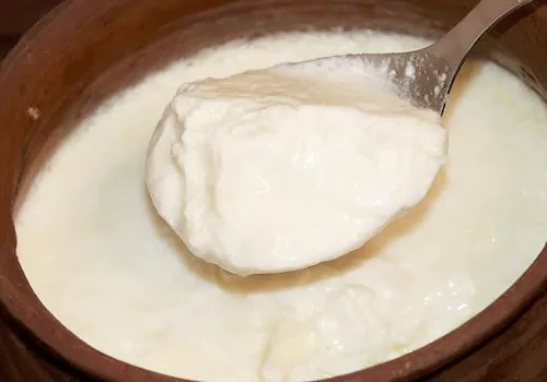 How to Make Thick Curd at Home in Monsoon