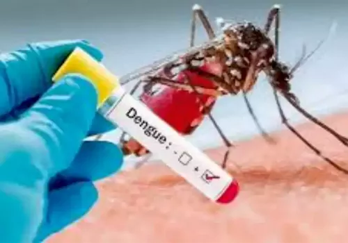 dengue fever shivering telangana