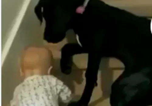 no.. i don't allow you!