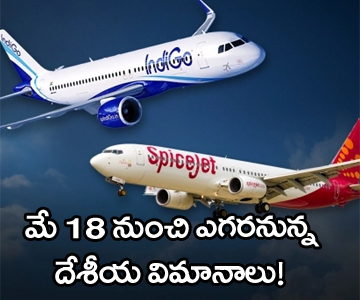 Domestic flights may resume by 18 May