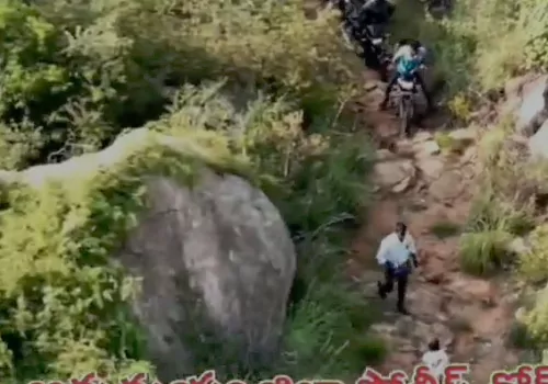 drone vigilence on kodi pandelu