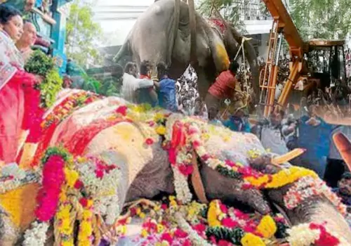 devotees rushed for the last glimpse of elephant lakshmi