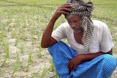 governments not focusing on farmes problems