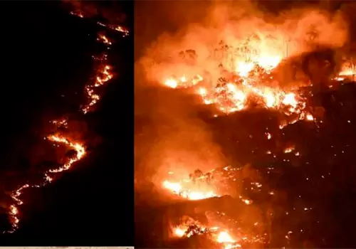 శేషాచలం అటవీ ప్రాంతంలో అగ్నిప్రమాదం