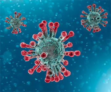 first corona positive case in andhra pradesh