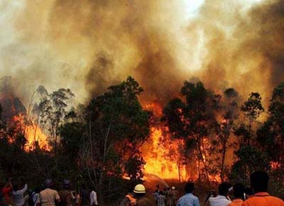 Uttarakhand forest fire