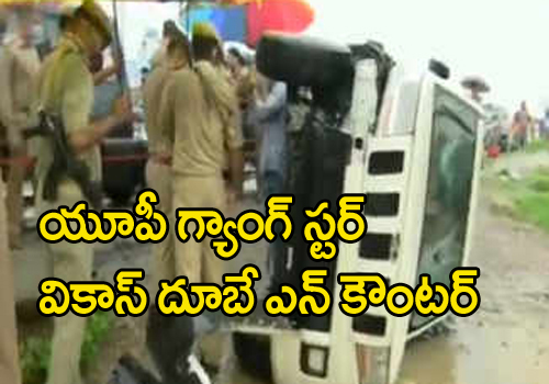 Gangster Vikas Dubey killed in police encounter