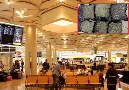 foriegn ganjaa caught in mumbay airport