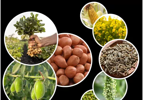 real reason behind trump tariff war