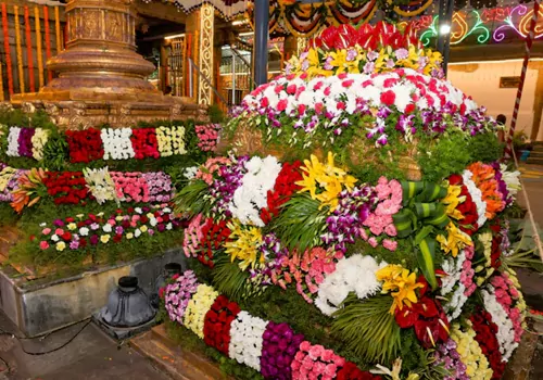 ankuraroana for govindarajaswamy brehmotsavalu