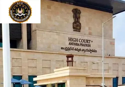 sit petition in high court to cancil default bail