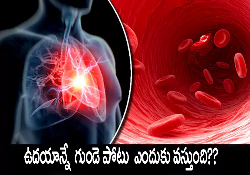 heart attack in morning why