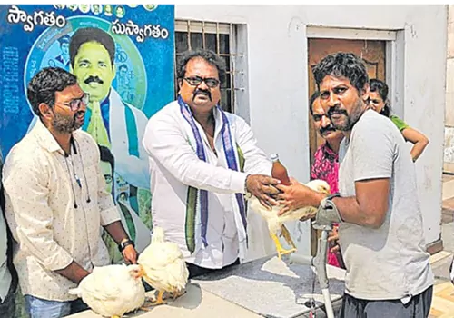 ycp distribute hen and liquor