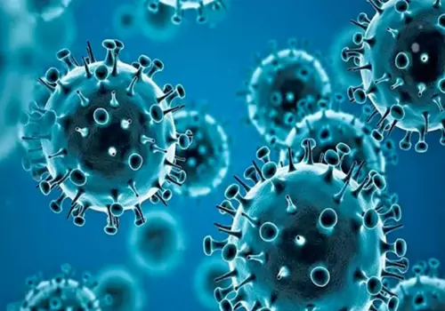 hmpv virus in bengalore