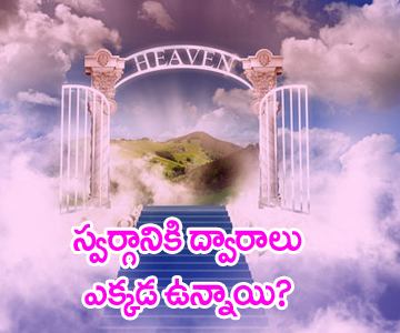 How to Find Happiness in Life