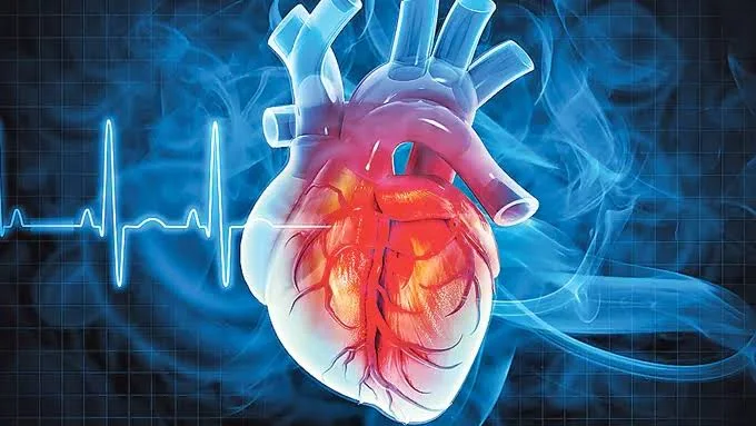 గుండె వేగం, సాధారణంగా ఉన్నా పక్షవాతం రావచ్చా? వైద్యులు హెచ్చరిస్తున్న విషయాలివే!