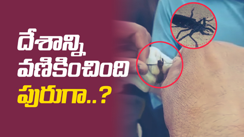 Hair cutting scare in Uttar Pradesh