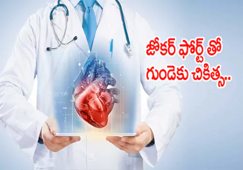 instructions and indications for use of the drug zok