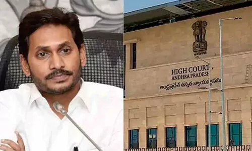 ap high court questioned jagan govt on gos