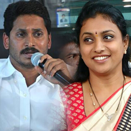 mla roja