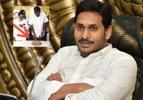 ys jagan birthday celebrations in tdp office
