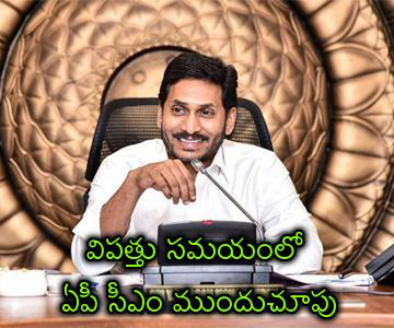 ap cm ys jagan key decision