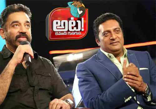 so called activists hypocracy