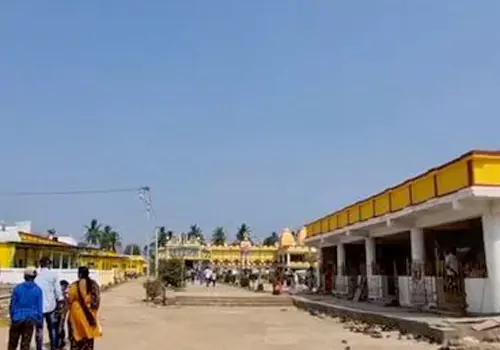 stampede in kasibugga