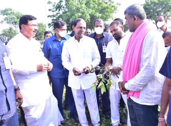 cm kcr meet farmers and talk on paddy crop