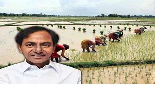 trs mla bhasker rao shock to kcr on paddy crop