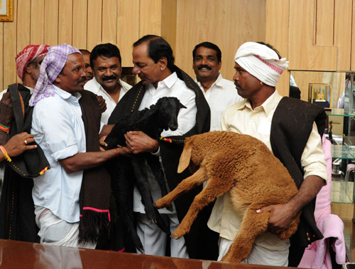 cm kcr