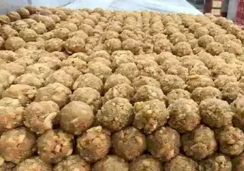 లడ్డూ ప్రసాదం విక్రయాలు భలే జోరు