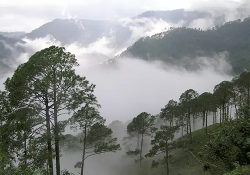 single digit temparatures in telugu states