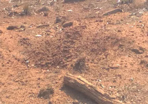 moaists land mine blast three police killed