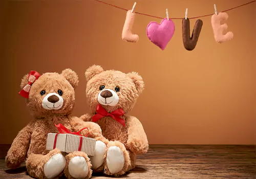 Happy Teddy Day