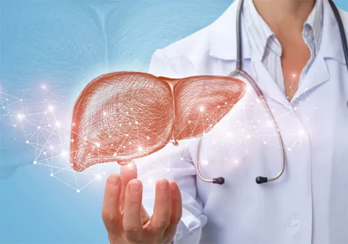 How To Reduce Fatty Liver
