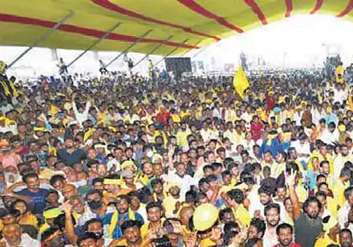 ఈ ఏడు తెలుగుదేశం మహానాడు నెల్లూరులో