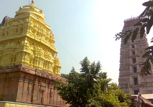 minister versus mla in pedakakani