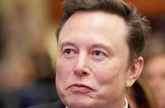 elan musk on hib visas