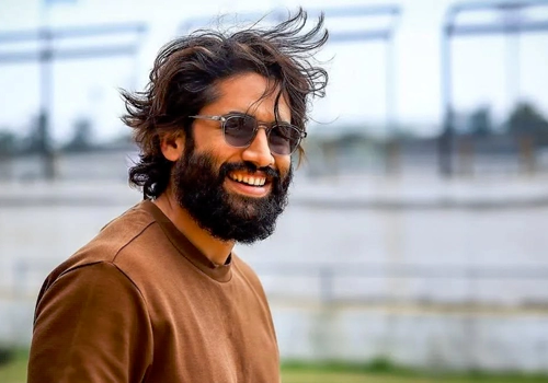 Naga Chaitanya next with Harish Shankar