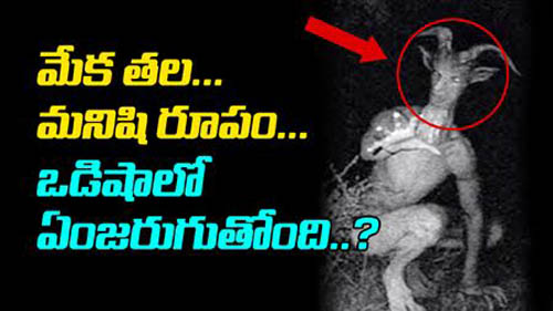 odisha cuttack district