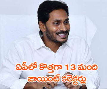 One more joint collector for all AP districts soon