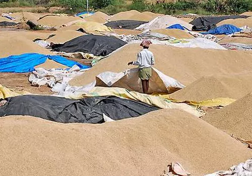 telangana farmers facing troubles with paddy crop
